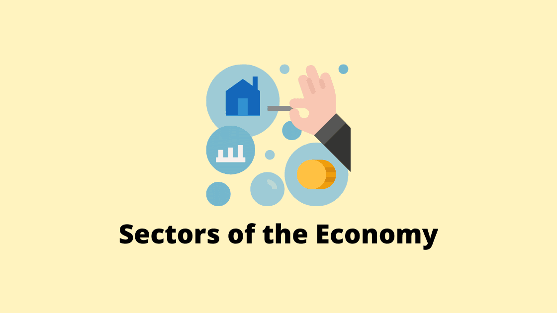 What Are the Sectors of the Economy?